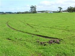 What happened to my braking? A sticky end to the landing roll on a nice wet grass strip!