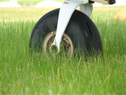 Beware the hazards of long grass