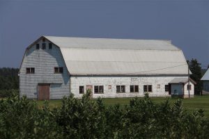 Those magical Canadian barns ... unforgettable