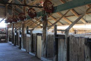 Beautiful hundred year old shearing shed at Mungo.