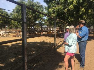 You'll come away with a much better understanding of cattle breeding programs after a few days with Daniel.